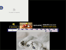 Tablet Screenshot of blondcat.goop.co.il